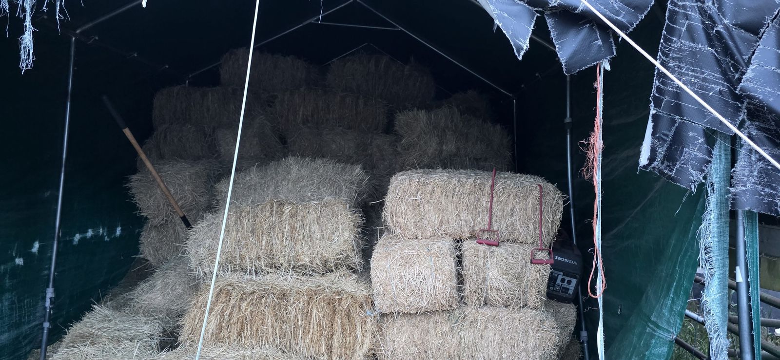 Grass hay for sale