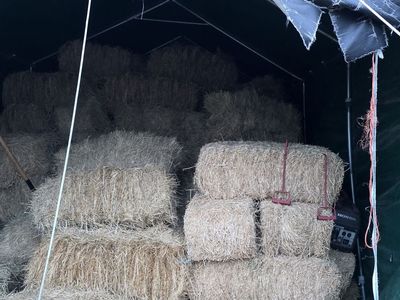 Grass hay for sale