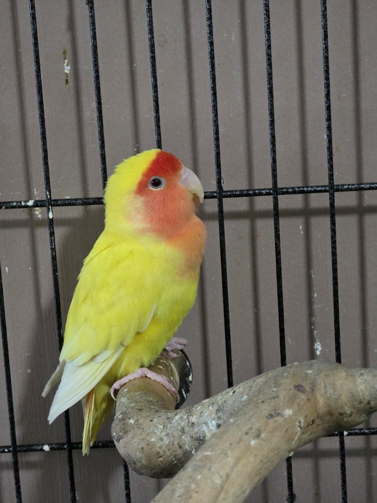 Main image 4
