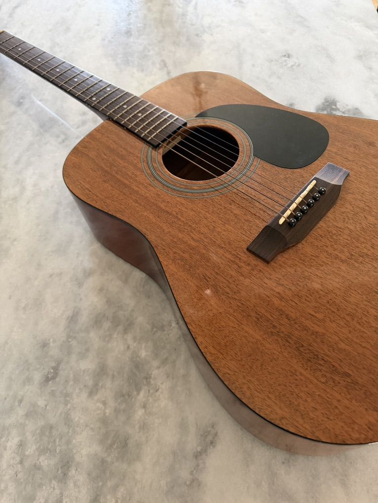 Hohner HW300G Guitar and Case