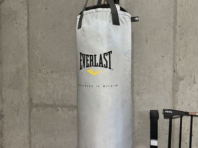 Everlast Heavy Punching Bag with Wall Mount Bracket and Hanging Springs
