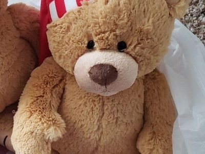Cute Brown Teddy Bear Plush Toy with Red & White Striped Winter Hat - Soft Stuffed Animal