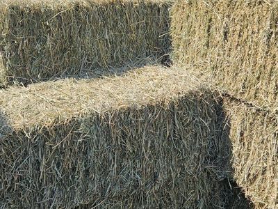 Natural raised horse hay