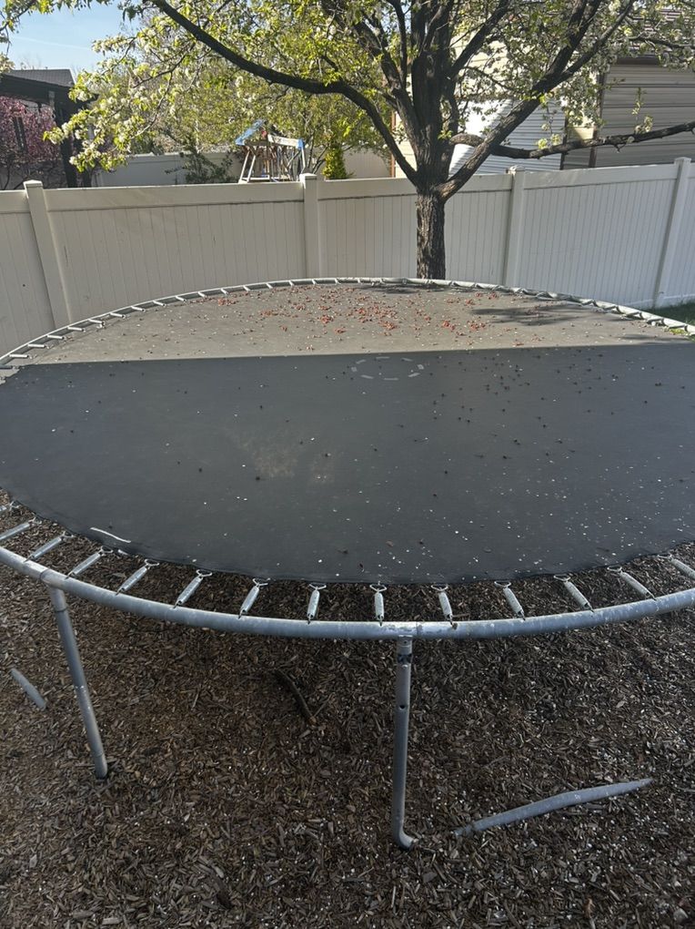 Free Trampoline!!