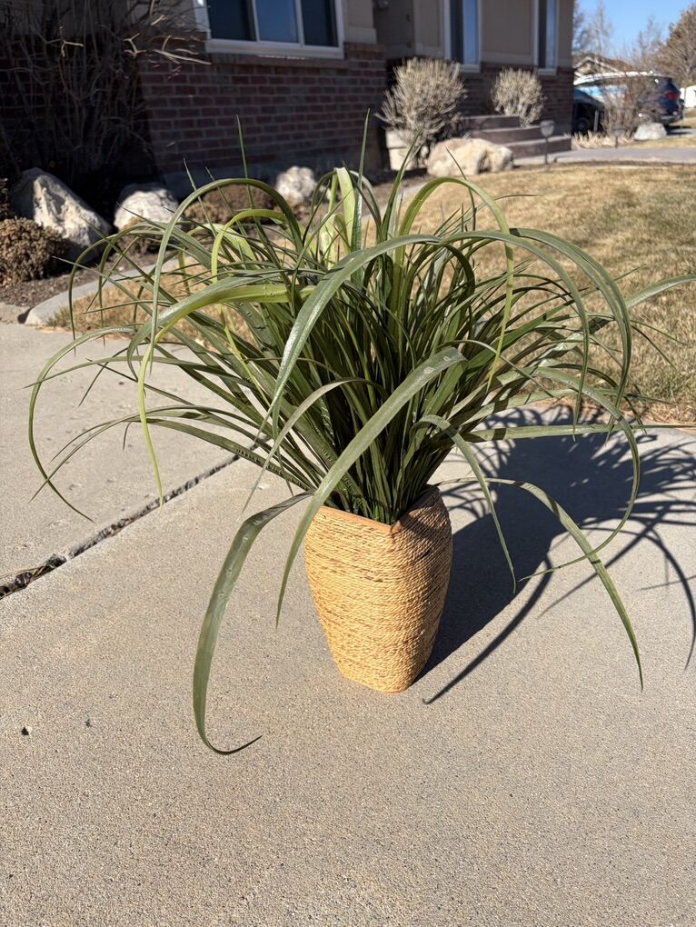 Decorative fake plant in rattan vase