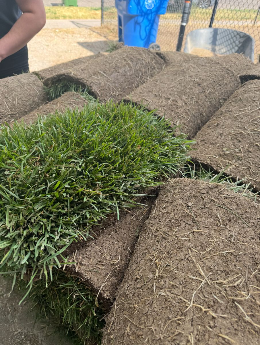 Spring Pricing - Sod - Kentucky Blue Grass