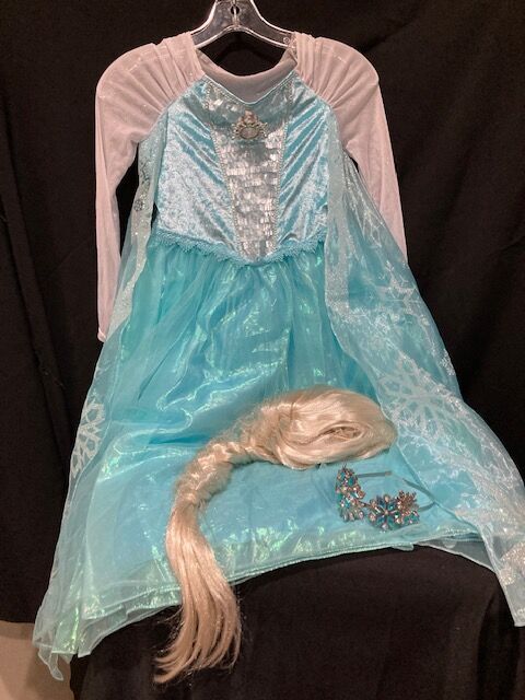 DISNEY STORE Frozen Princess  ELSA w/ wig and Crown    $30
