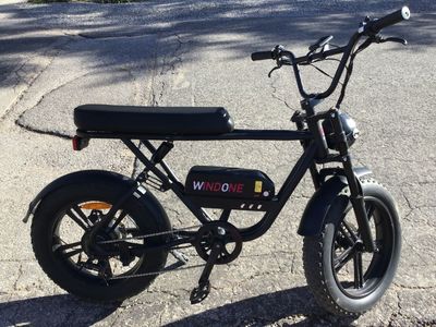 Windone Electric Bike, Fat Tire