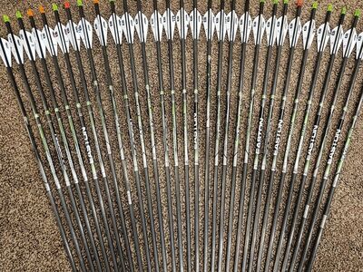 Easton Axis 5mm 300 spine