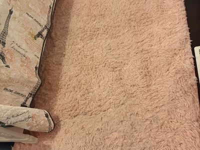Pink Shag Area Rug - Soft & Cozy Floor Mat