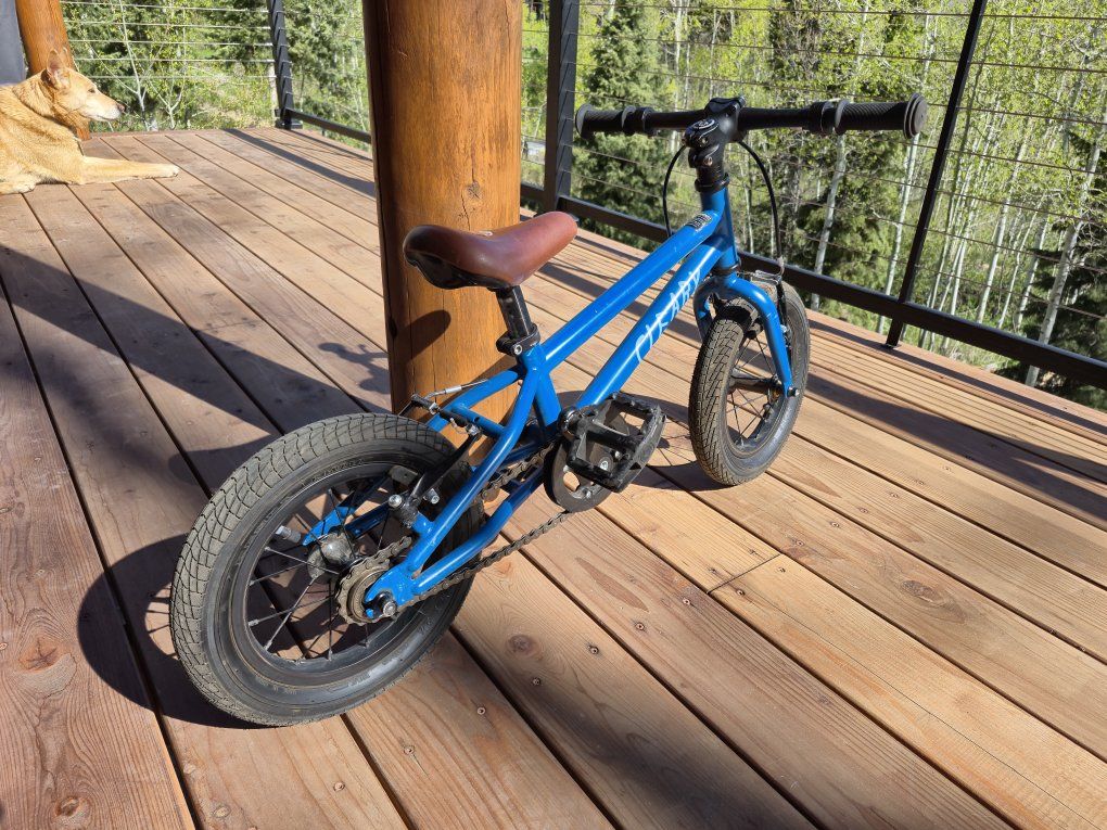 Kids 12" Cleary Gecko Bike