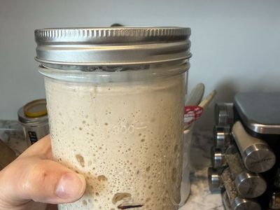 Mature sourdough starter ready to bake