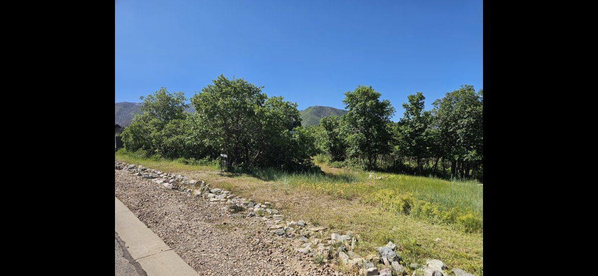 Main image 16