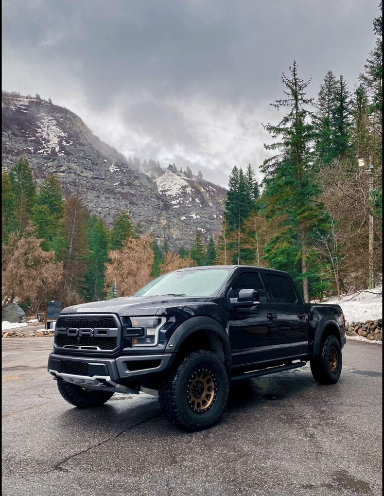 2017 FORD F150 Raptor