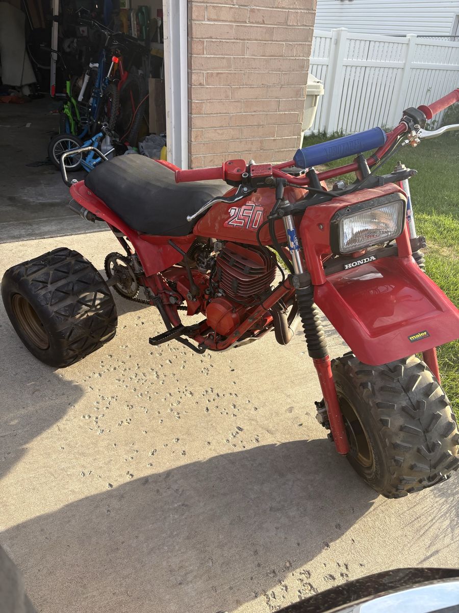 Main image 3