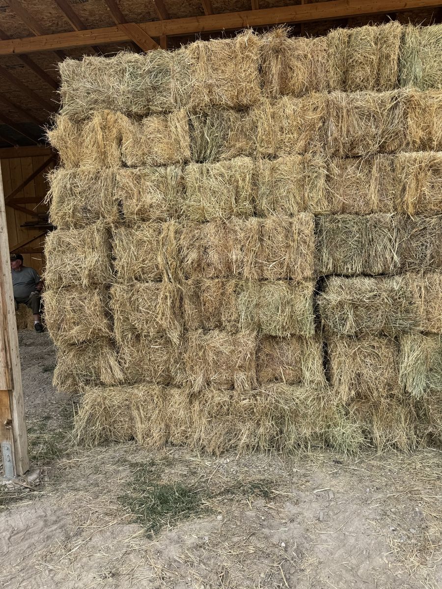 Feeder Hay