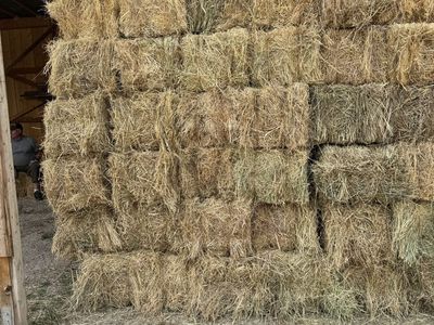 Feeder Hay