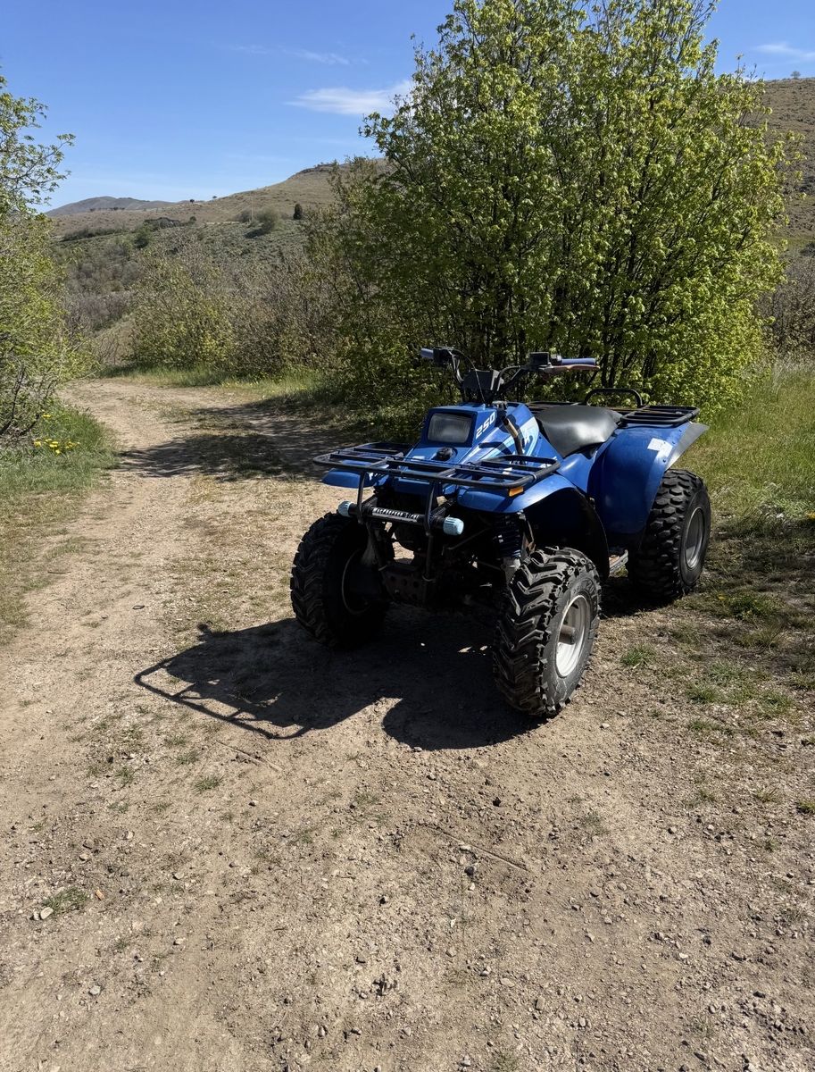 93 Polaris 250 4x4