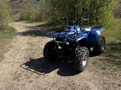 93 Polaris 250 4x4
