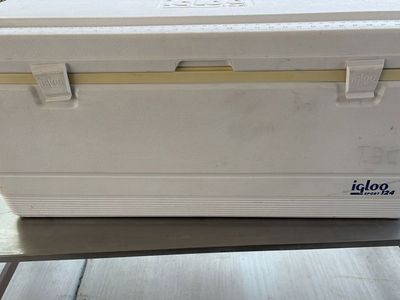Igloo sport 124 cooler