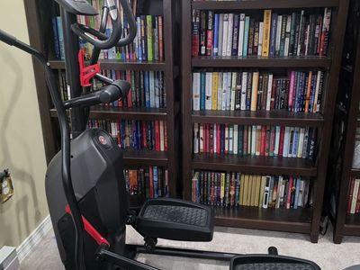 Schwinn 411