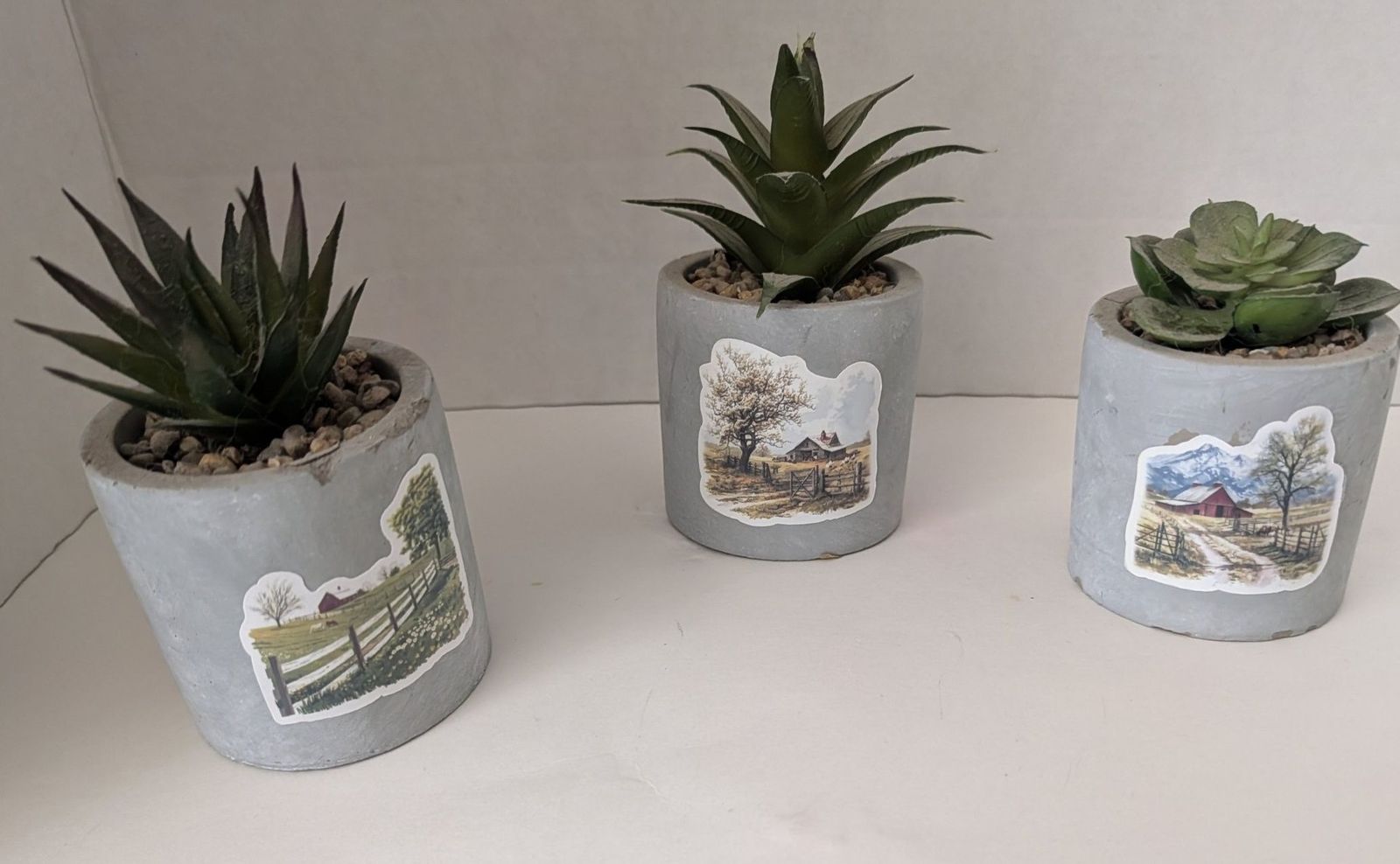 Faux Succulent Plants (Country Scene)