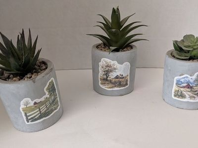 Faux Succulent Plants (Country Scene)