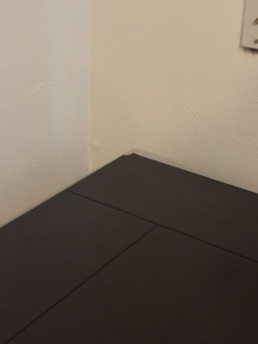 Main image 4
