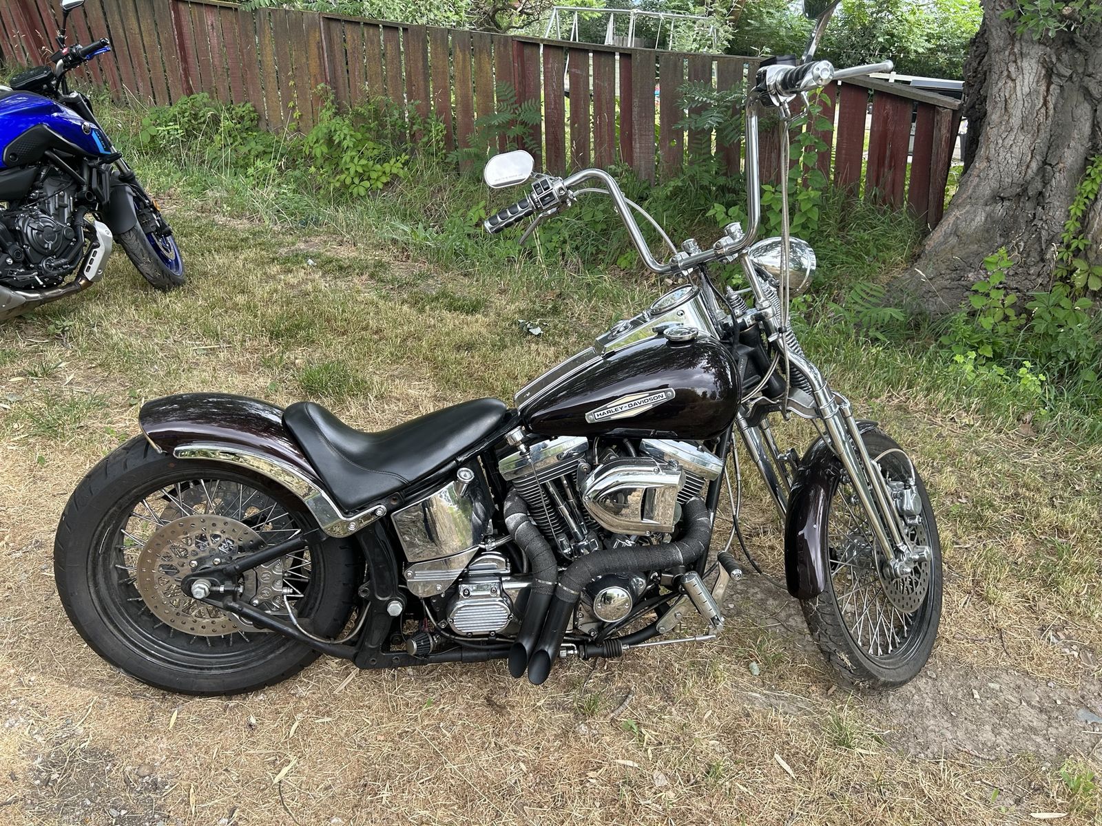 1991 Harley-Davidson Softail Springer