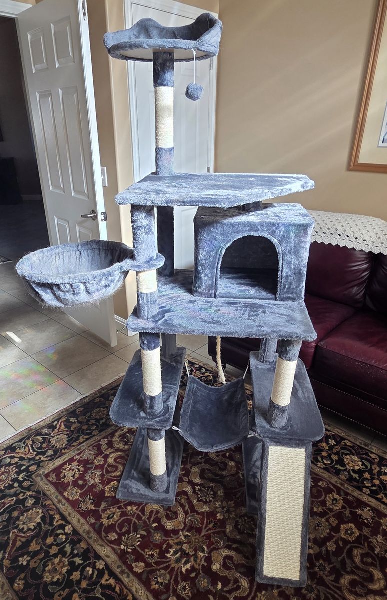 Cat Condo exercise structure
