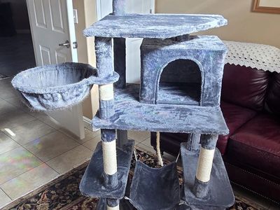Cat Condo exercise structure