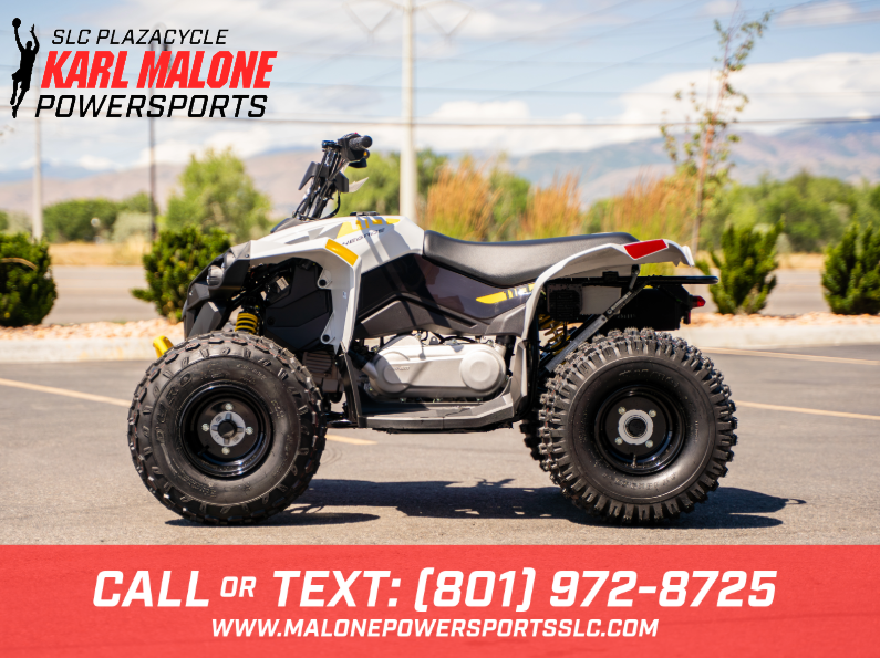 2026 CAN-AM Renegade 110 EFI Catalyst Grey - B1232