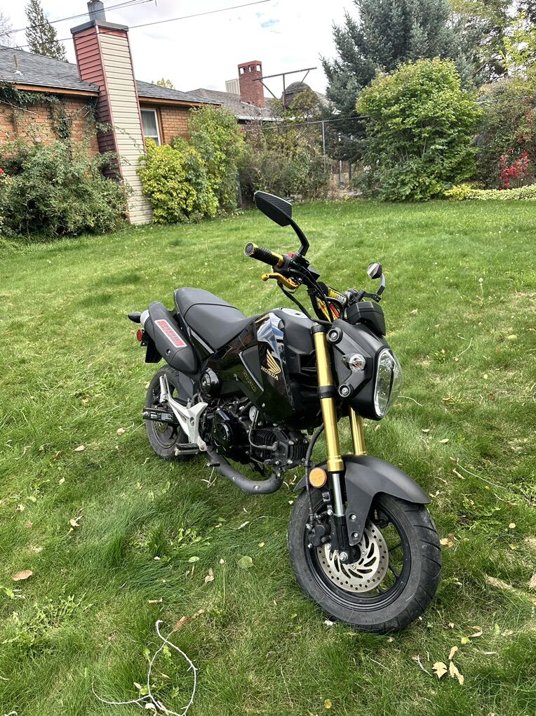 2015 Honda Grom