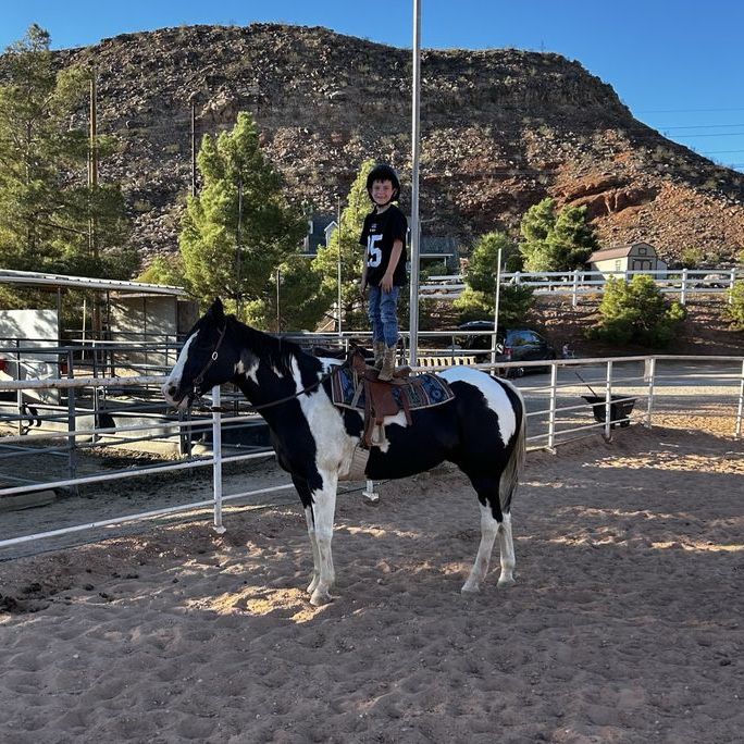 17 Year Old Broke Paint Gelding