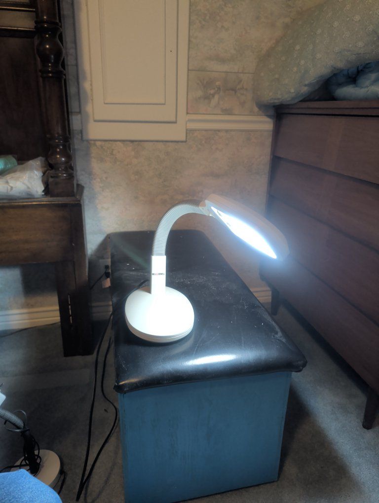 Main image 7