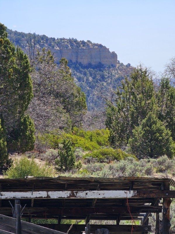 10ac Cabin Lot