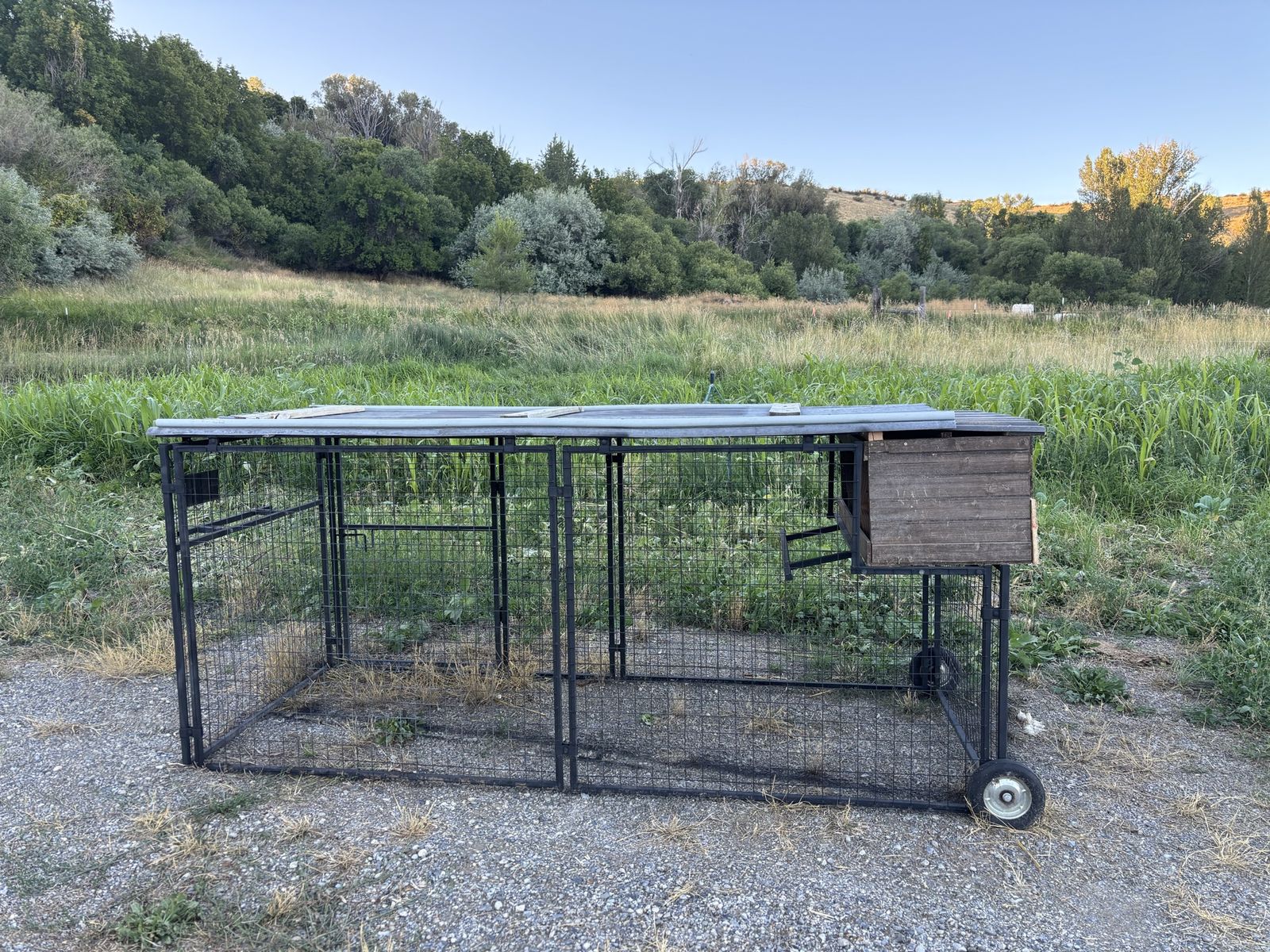 Portable metal chicken coup