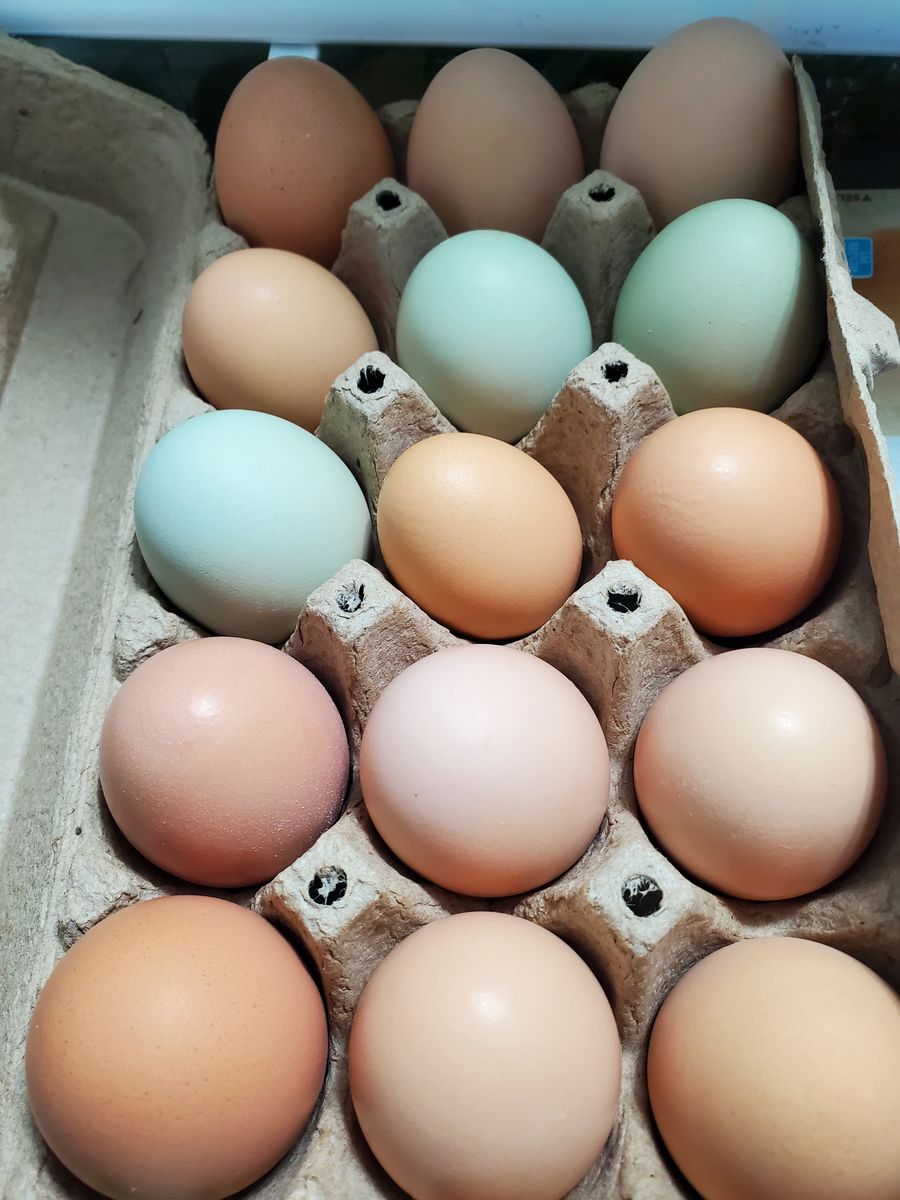 farm fresh eggs