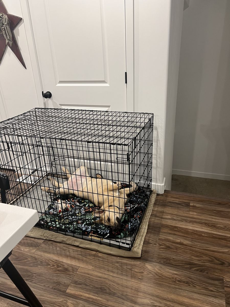 Large  & small Dog Crate