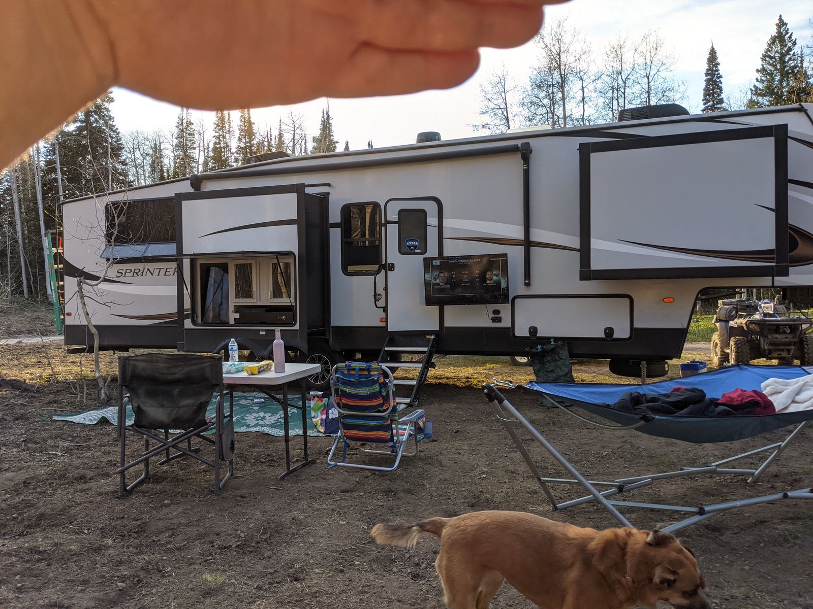 Main image 11