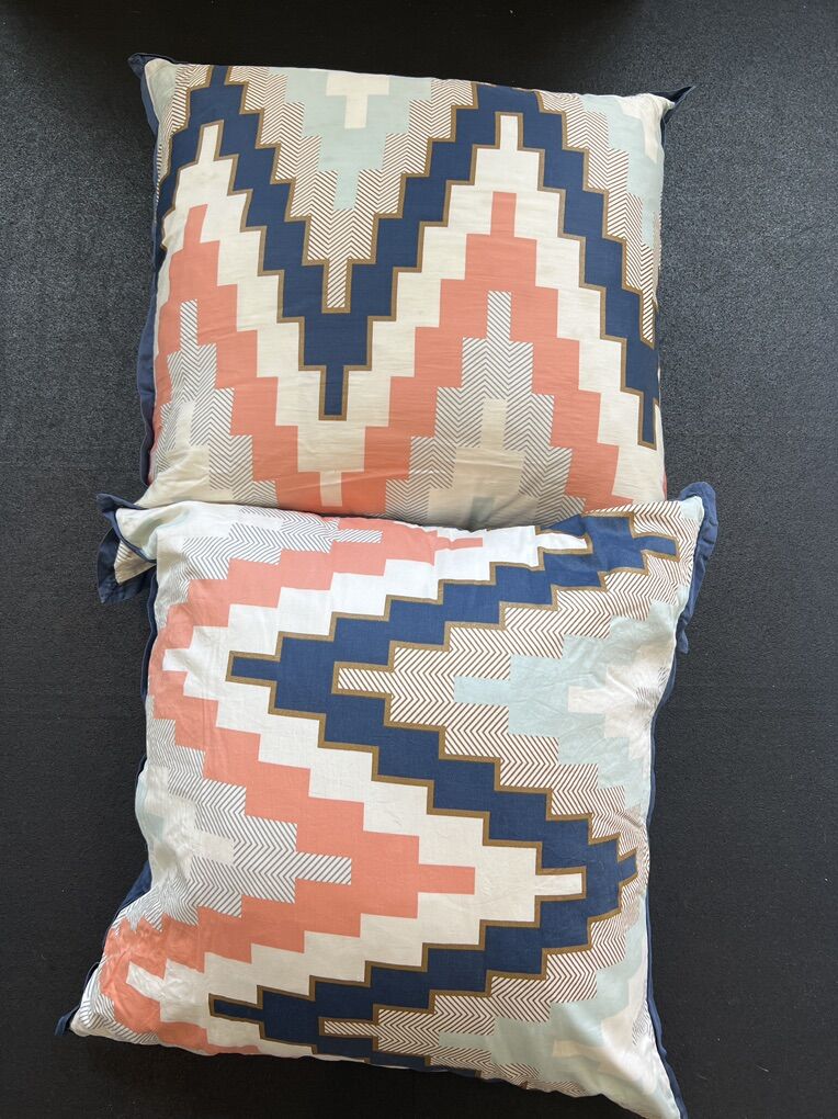 Large Decritive Pillows