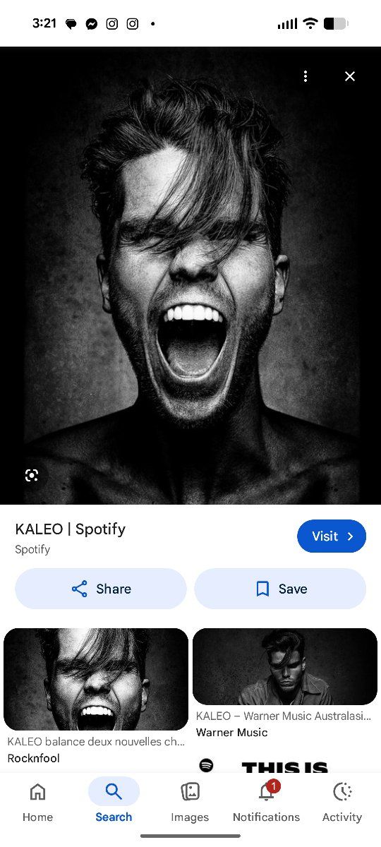 Kaleo tonight. face value. two tickets $50 each