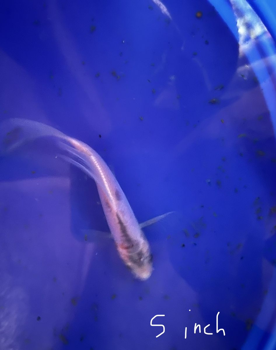 Main image 4