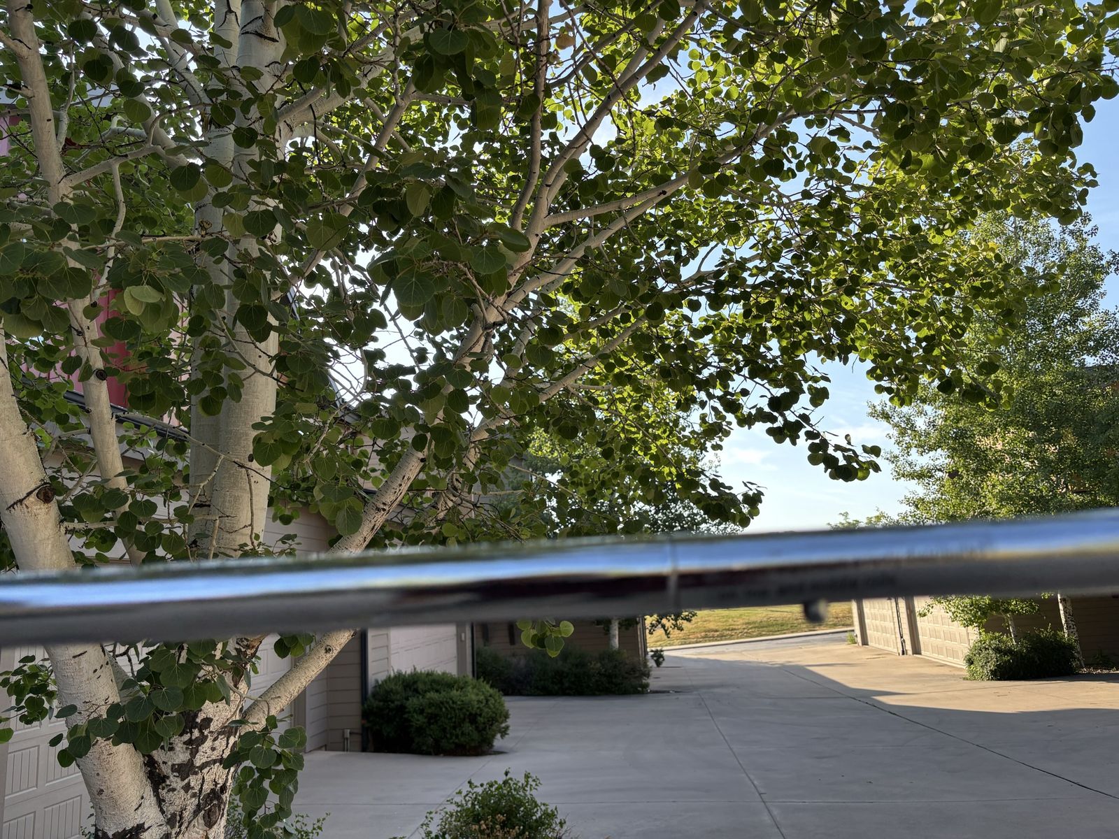 Main image 3