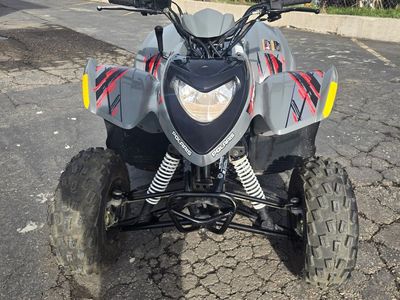 2018 Polaris Phoenix 200