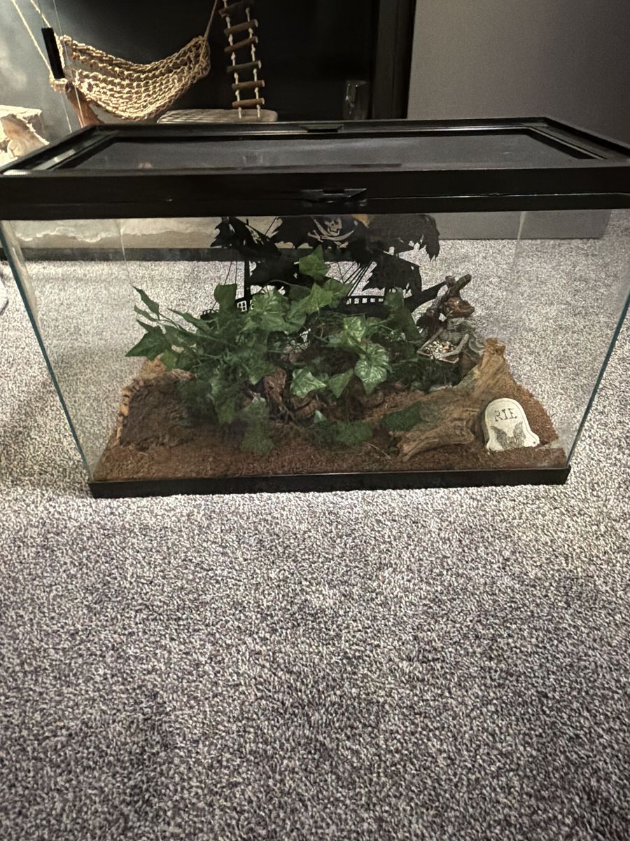 Baby Snake Tank