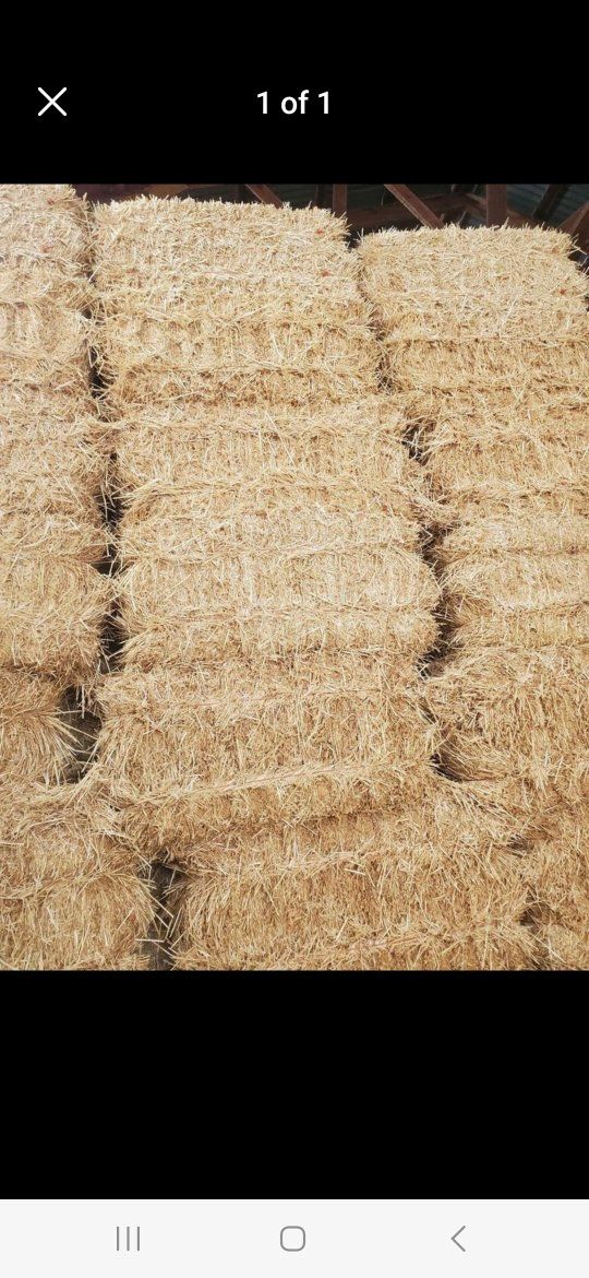 Straw