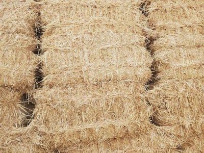 Straw