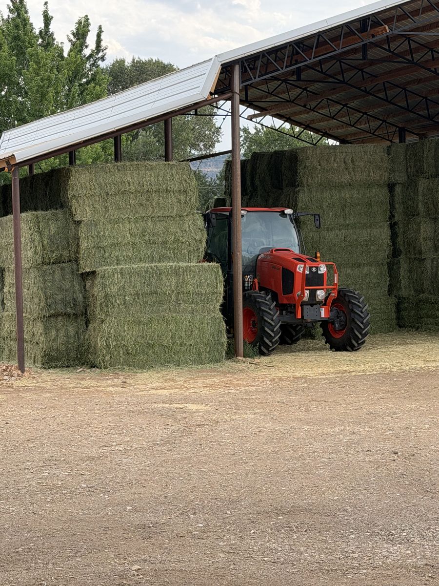 Alfalfa hay 3x3