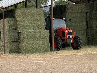 Alfalfa hay 3x3